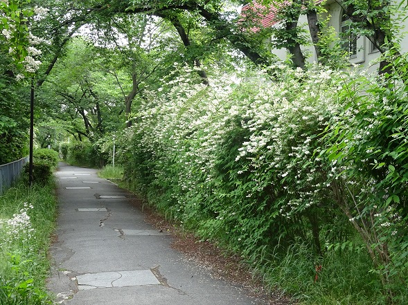 b0299042_16113788.jpg