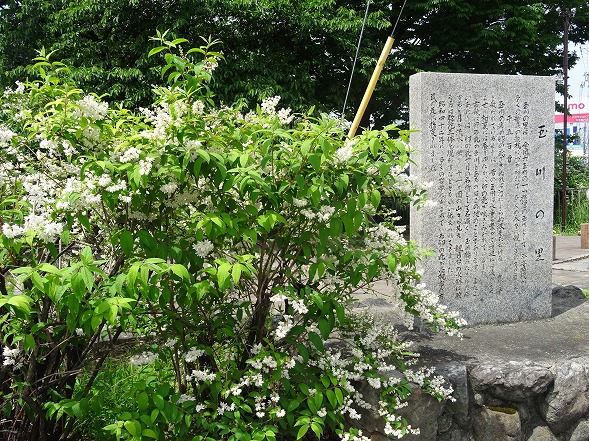 b0299042_1681219.jpg