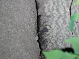 f0104042_23494328.jpg