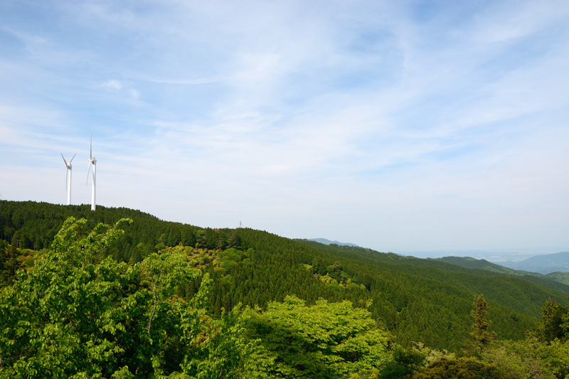 d0164443_18563485.jpg