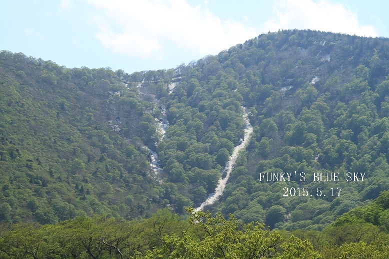 c0145250_11124487.jpg
