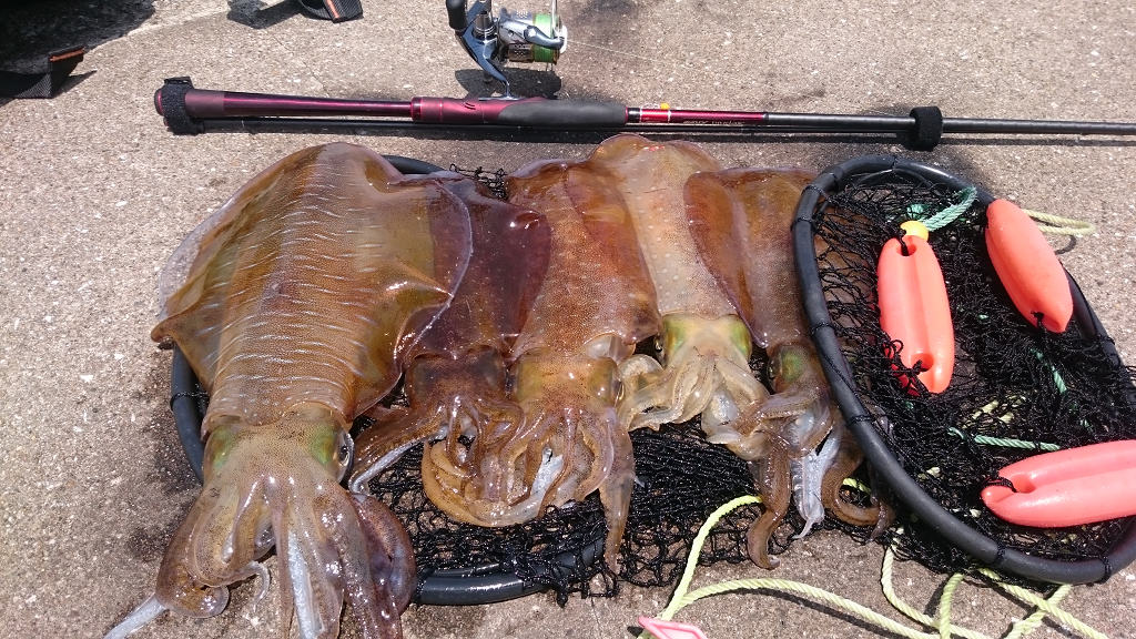f0241653_215016.jpg