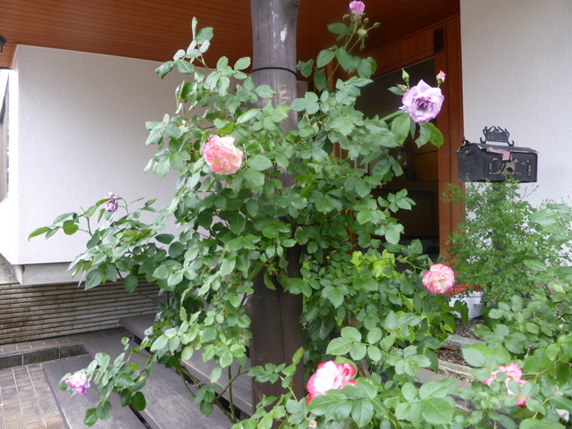 f0208760_12452325.jpg