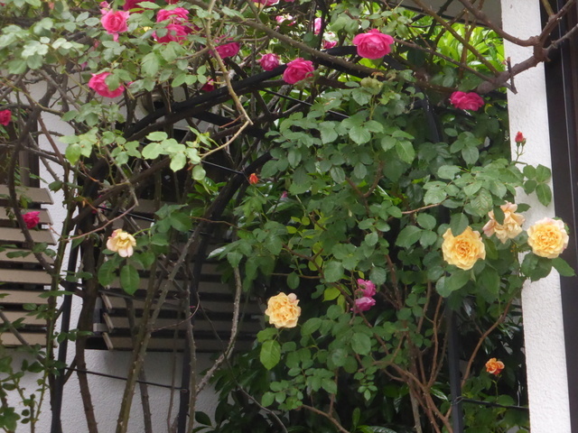 f0208760_12454341.jpg