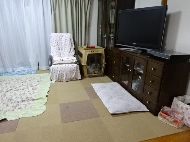 a0241761_13313251.jpg