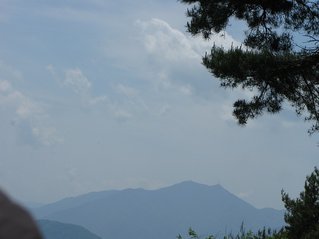 a0052762_1248635.jpg