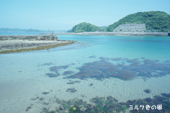 c0368870_17125838.jpg