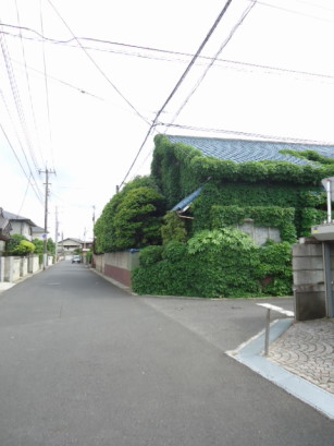 e0029472_1016391.jpg
