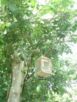 e0029472_10355982.jpg