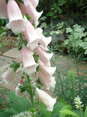 e0029472_10431560.jpg