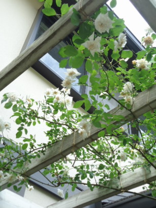 e0029472_10584359.jpg