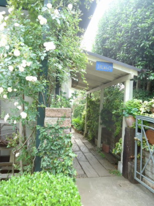 e0029472_1125062.jpg