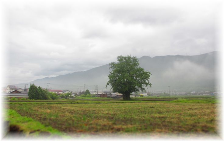 d0175974_20305059.jpg