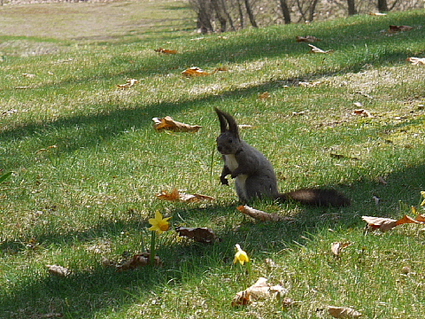 c0209379_16392792.jpg