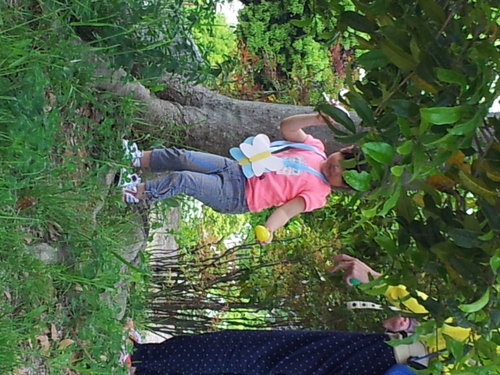 f0203482_15135898.jpg