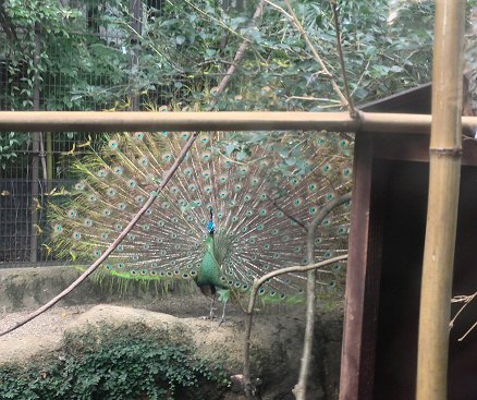 c0014187_21223540.jpg