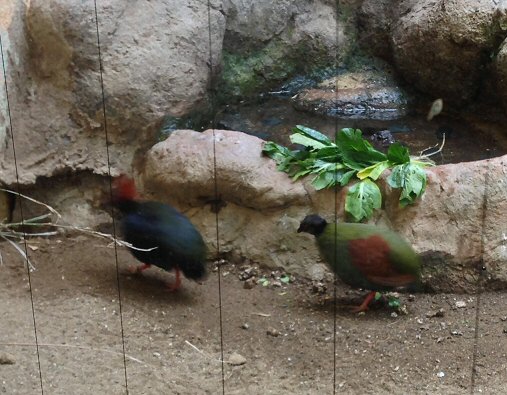 c0014187_2133372.jpg