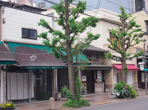 a0146493_2223562.png