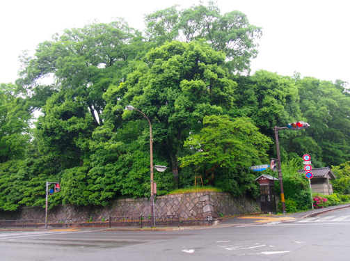 a0146493_22245977.png