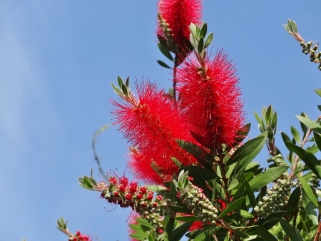 a0125598_22480490.jpg