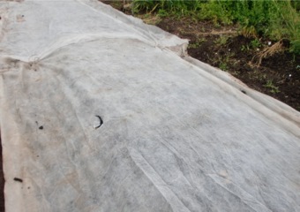c0151898_1936224.jpg