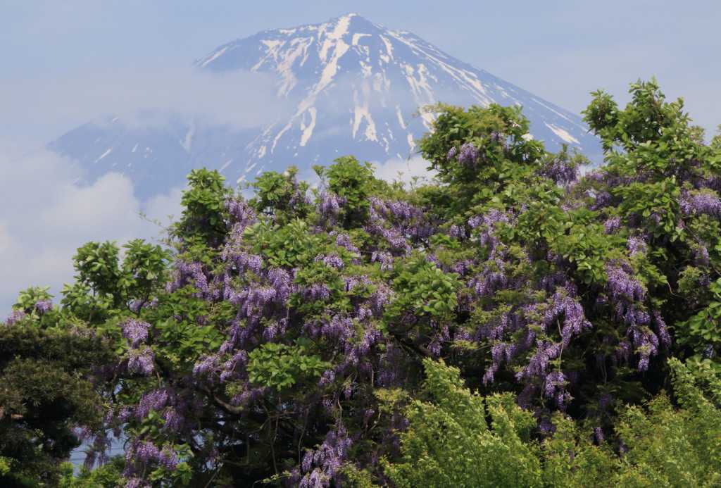 a0188405_16425633.jpg