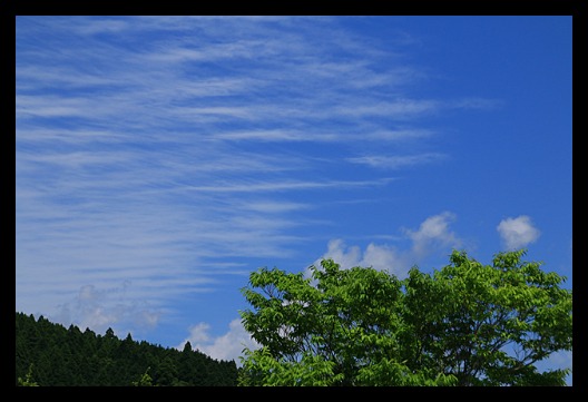 b0014607_759423.jpg