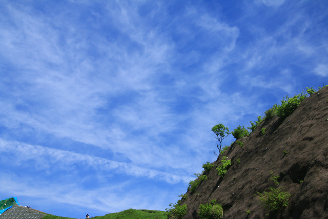 b0014607_8321012.jpg