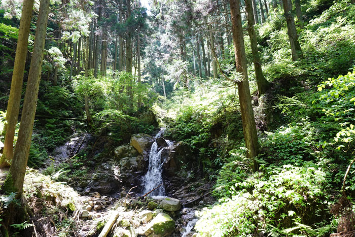 e0077010_2029474.jpg