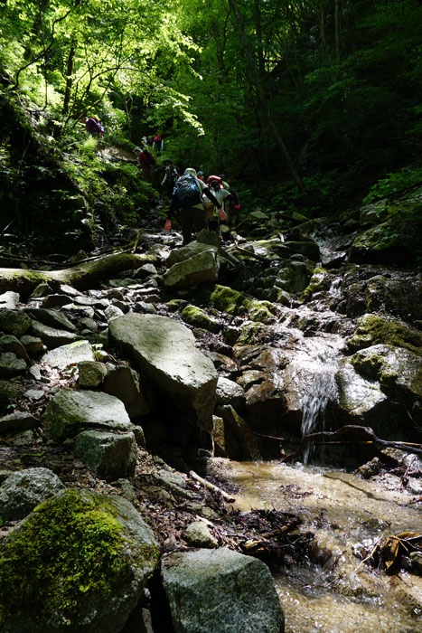 e0077010_2031166.jpg