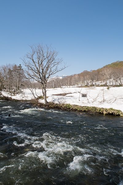 b0244811_22482774.jpg