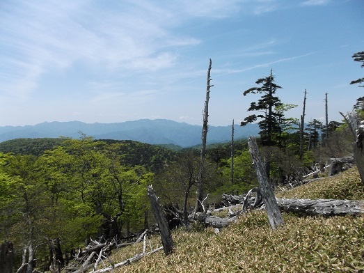 d0288411_22454171.jpg