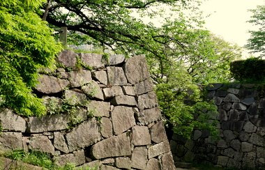 d0111216_2262546.jpg