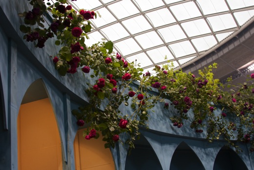 e0021328_2394023.jpg