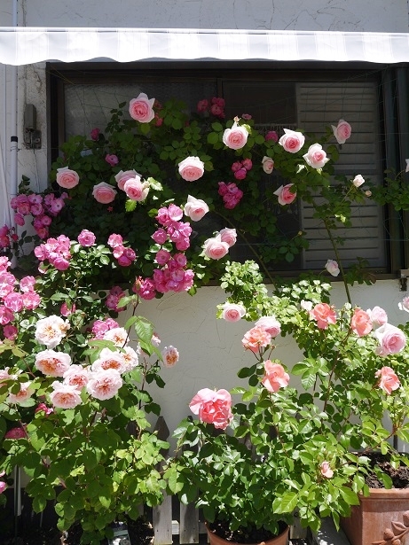 f0231829_23180829.jpg