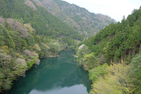 b0281732_1443058.jpg