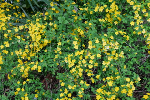 b0281732_14434093.jpg