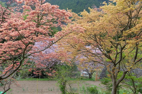 b0281732_14435990.jpg
