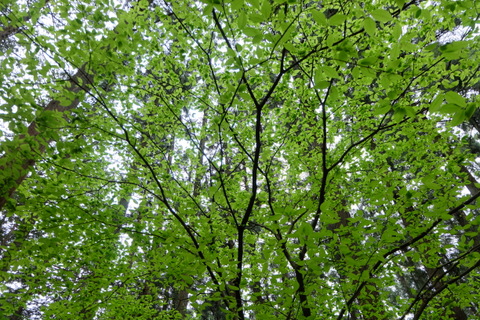 b0281732_1446172.jpg