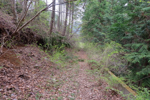 b0281732_14465054.jpg