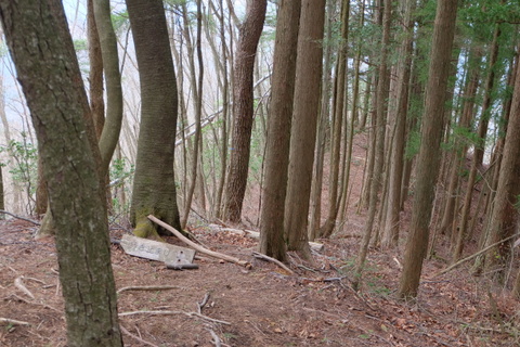 b0281732_14483417.jpg