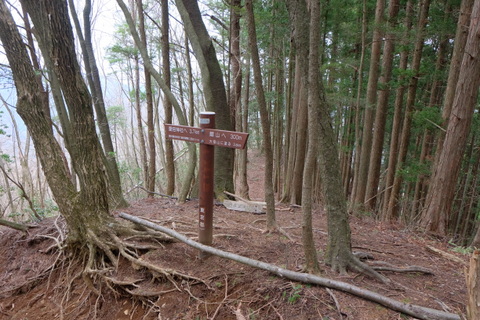 b0281732_14485232.jpg