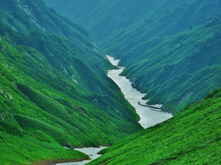 b0321833_20232906.jpg