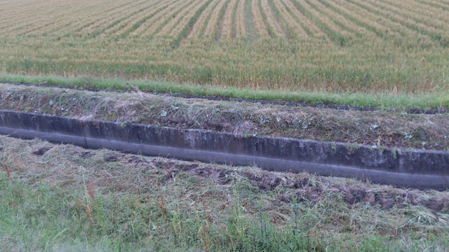 e0305733_6251783.jpg
