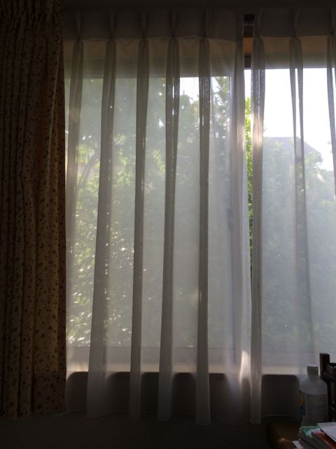 c0220337_1743115.jpg