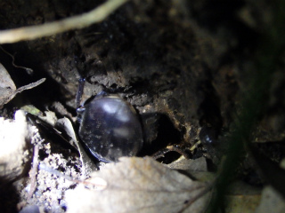 f0104042_23265795.jpg