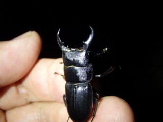 f0104042_23271218.jpg