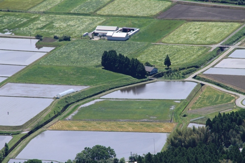 d0006047_2003354.jpg