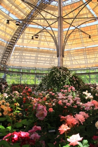 d0006047_201359.jpg