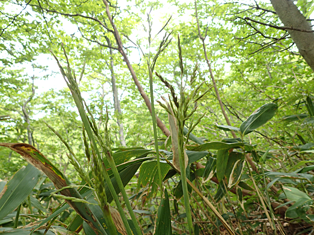f0214649_4544566.jpg